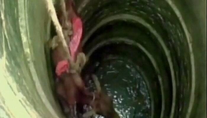 Watch: Fire officials rescue calf after it fell into well in Mirzapur
