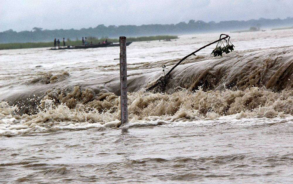 A view of a flood water near Manas National Park in Baksa district of Assam. A view of a flood water near Manas National Park in Baksa district of Assam.