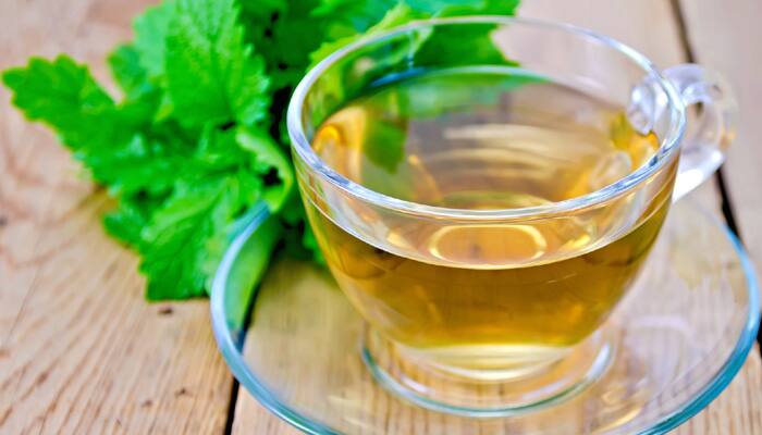 Lemon balm tea