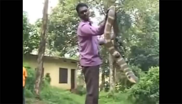 This fearless Kerala man catches a King Cobra with ease – Watch video