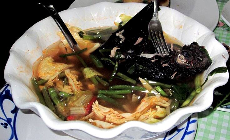 Fruit bat soup Fruit bat soup