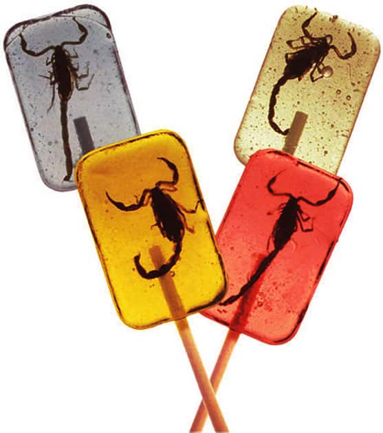 Scorpion Pops Scorpion Pops