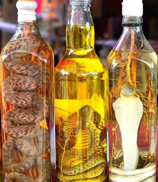 Snake Wine Snake Wine