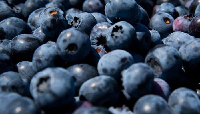 Blueberries