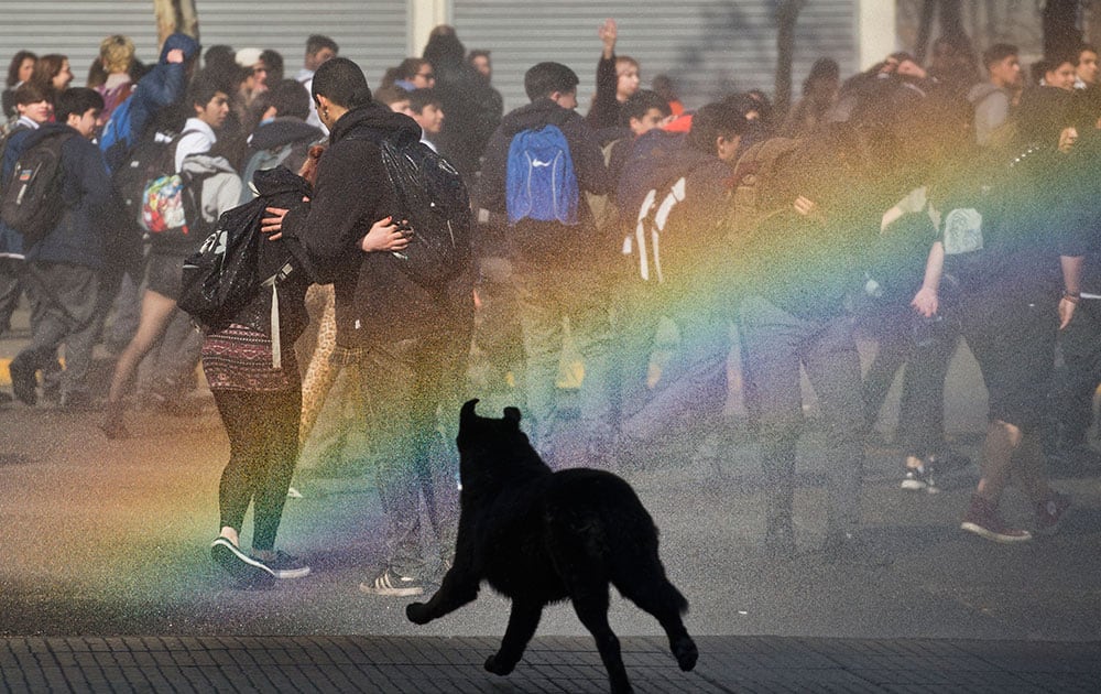 A dog runs through a rainbow formed from the mist of a police water cannon during a student protest