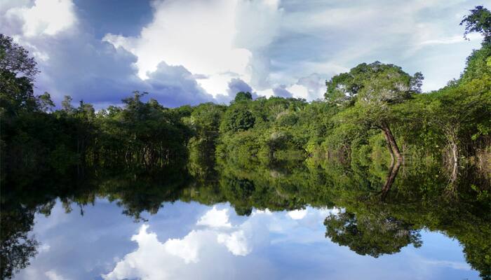 Brazil cancels environmental license for biggest hydroelectric Amazon dam