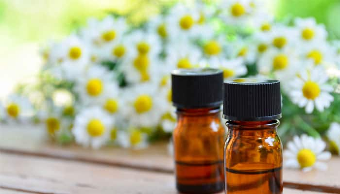 Chamomile oil 