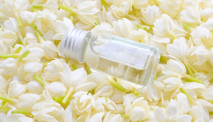 Jasmine oil