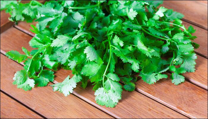 Coriander juice