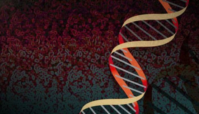 Andhra Pradesh Police launches pilot project on DNA profiling