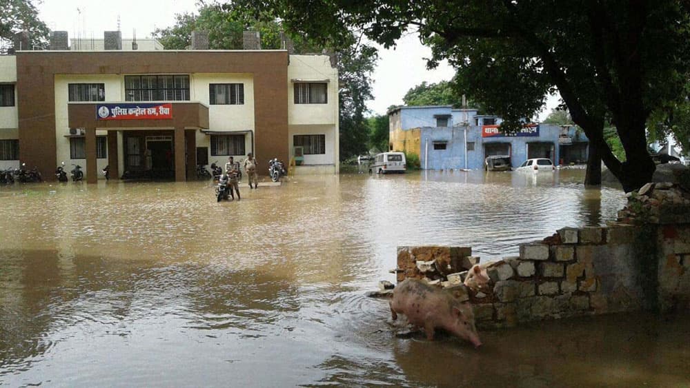flood in Rewa