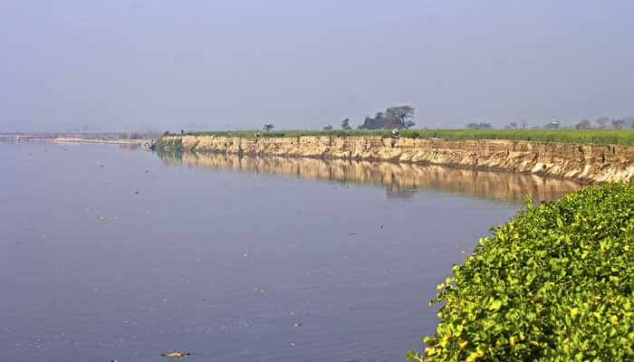 Delhi&#039;s waste chokes Yamuna of all aquatic life