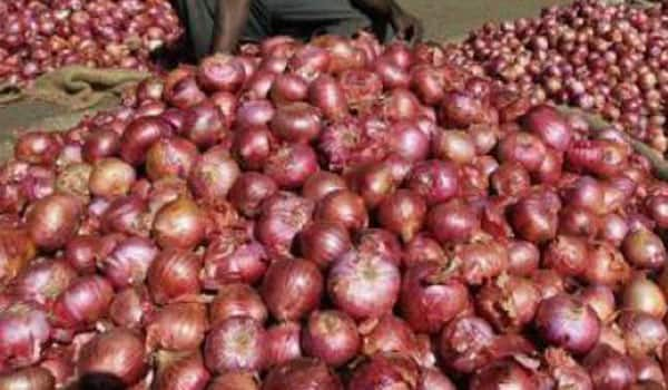 Nashik farmer gets 5 paise per kg for onions!