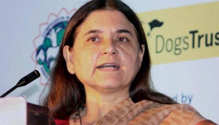 Union Minister Maneka Gandhi raps Kerala for its policy on stray dogs 