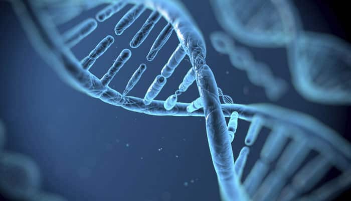 Researchers find way to boost gene-editing tool efficiency