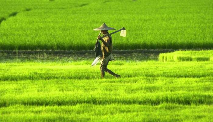 Q1 GDP to be good due to normal monsoon, salary hikes