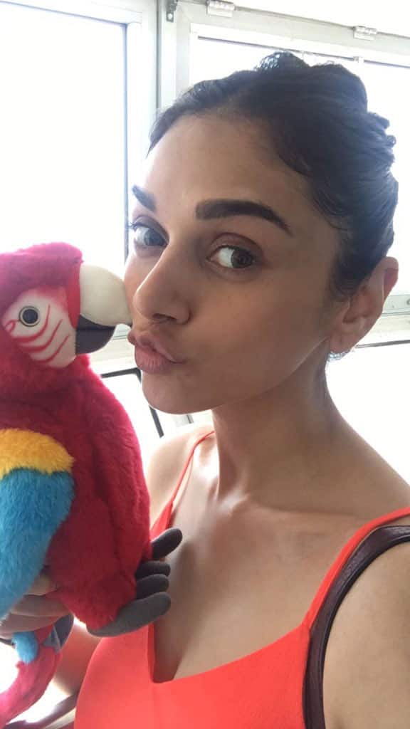 With this cutie at #CNTower #Toronto #BFF #TakeOffTuesday #RobinsonCrusoe @Bazinga_Ent #kissies - Twitter@aditiraohydari With this cutie at #CNTower #Toronto #BFF #TakeOffTuesday #RobinsonCrusoe @Bazinga_Ent #kissies - Twitter@aditiraohydari