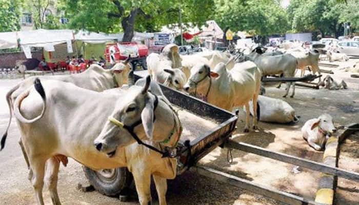 Haryana Police to `smell out` beef in biryani samples from Mewat