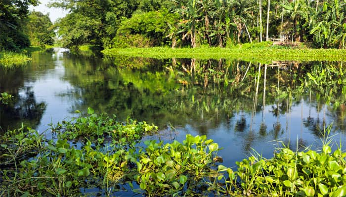 Assam&#039;s Majuli to be declared India&#039;s first island district today