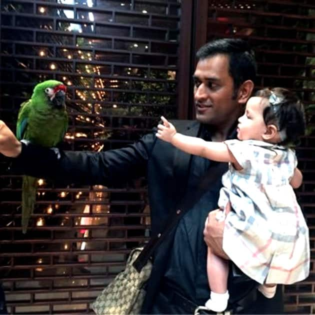 MS Dhoni and Ziva