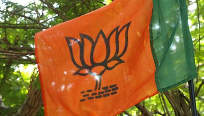 Andhra BJP delegation thanks PM Modi for special package