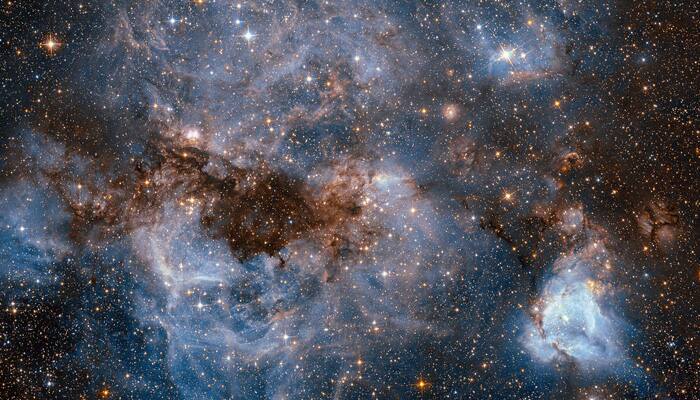 Hubble peers into stormy scenes of dark dust in Large Magellanic Cloud!