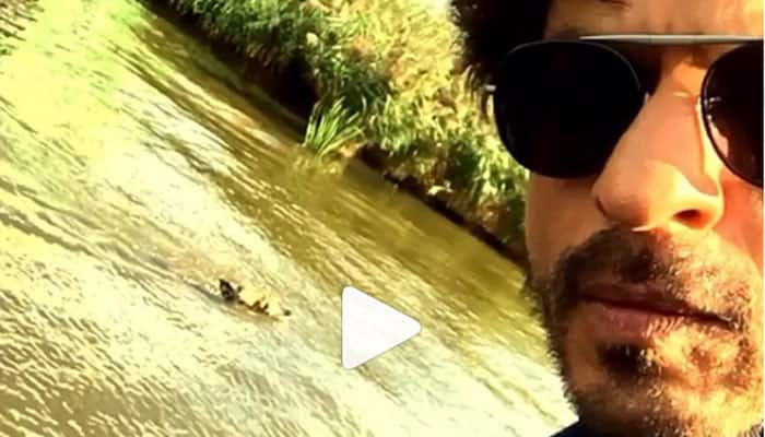 Shah Rukh Khan on a &#039;&#039;dog day afternoon&#039;&#039; in Amsterdam