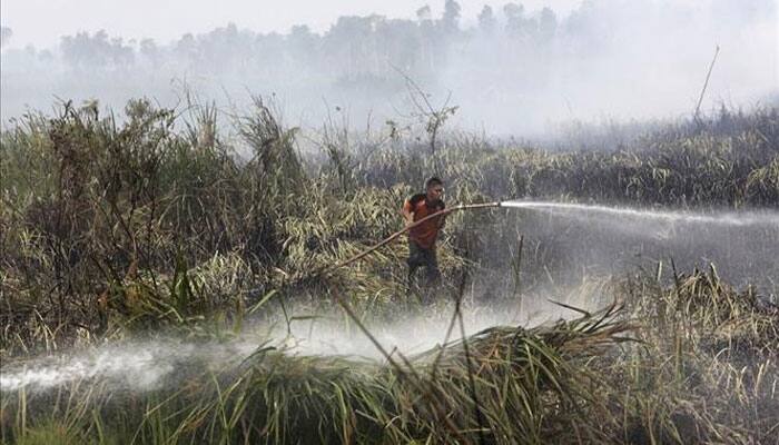 Smog outbreak! Indonesia haze may cause 100k premature deaths