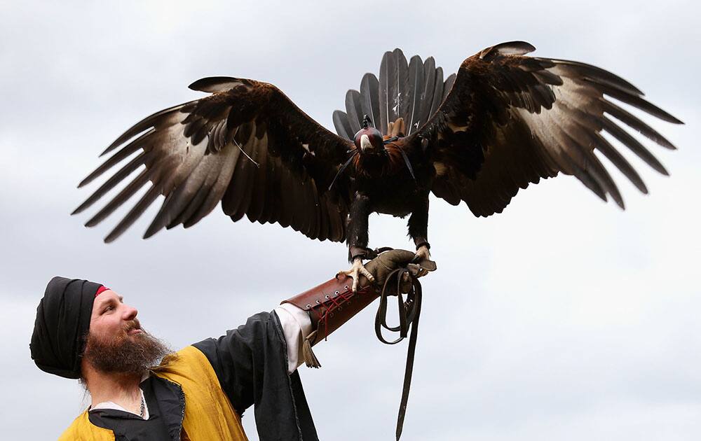 Paul-Michael Donovan and Zoro perform during the 2016 St Ives Medieval Faire at St Ives Showgrounds in Sydney