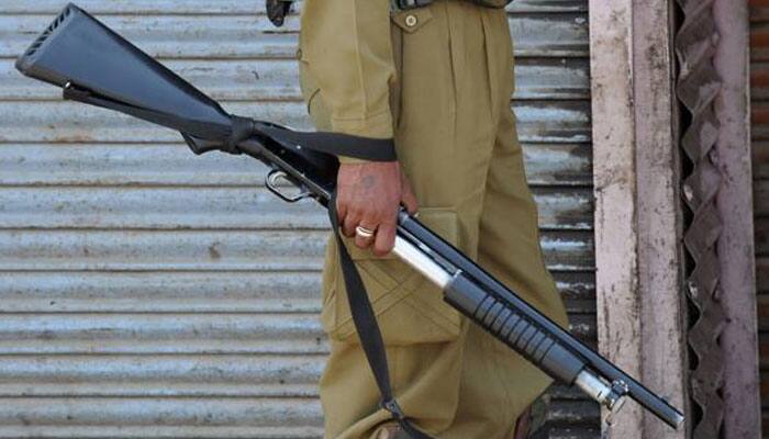 J&amp;K High Court refuses to ban pellet guns, says &#039;use of force by army inevitable&#039;