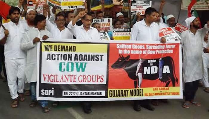 Minority groups demand ban on &#039;cow vigilantism&#039;