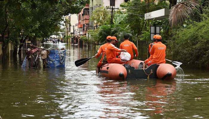 Three die in rain-related incidents in Telangana; heavy rains in Odisha