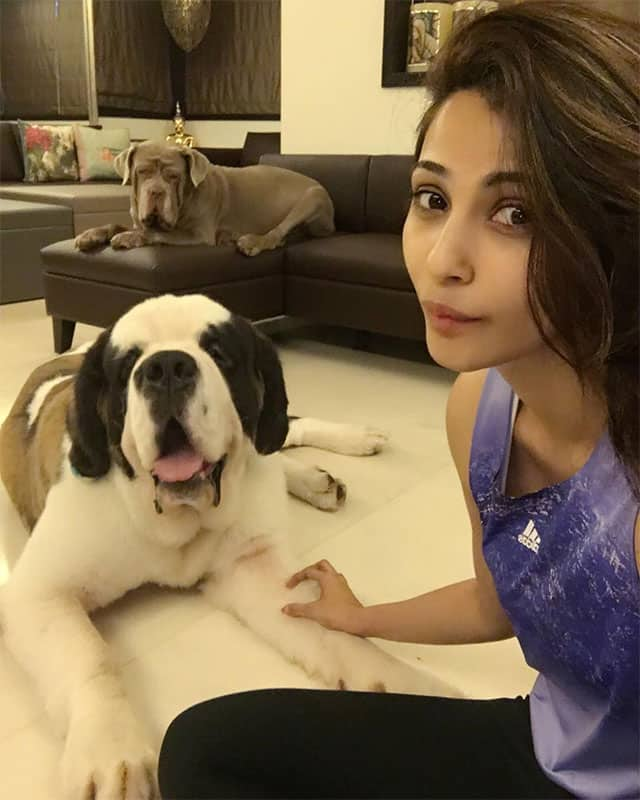 daisy shah :- Surrounded with pure happiness and love! #goodvibesonly