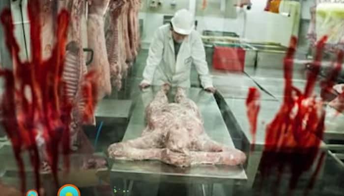 OMG! Human flesh in tin cans? China denies shipping it to be sold as food in Africa - MUST WATCH 