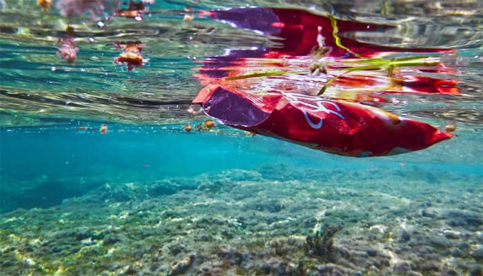 World&#039;s first aerial survey shows &#039;Great Pacific Garbage Patch&#039; is on rise!