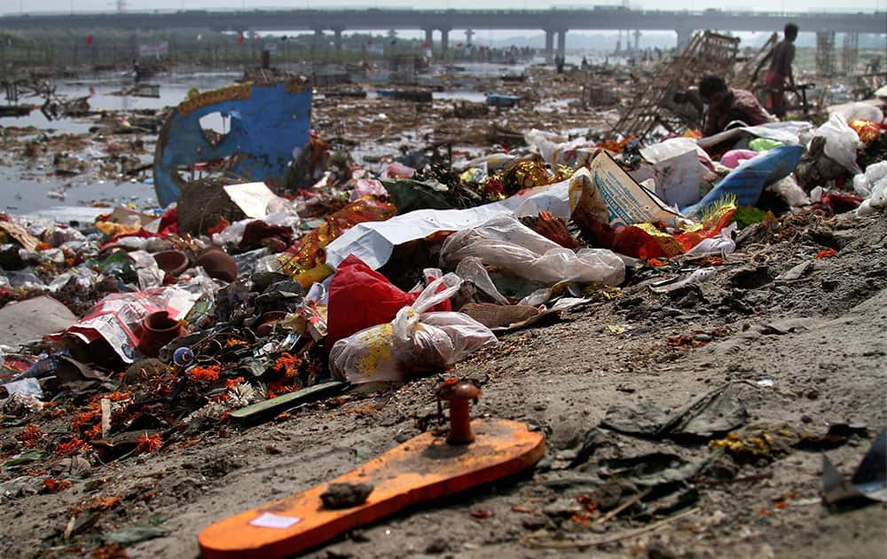 Remains of idols of Hindu goddess Durga after immersed in the river Yamuna during Durga Puja festival