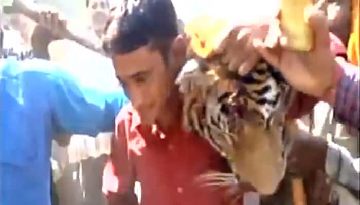 WATCH: Man-eater tigress killed by locals in Uttarakhand&#039;s Ramnagar