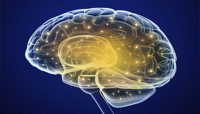 Muscle strength may help to improve brain function