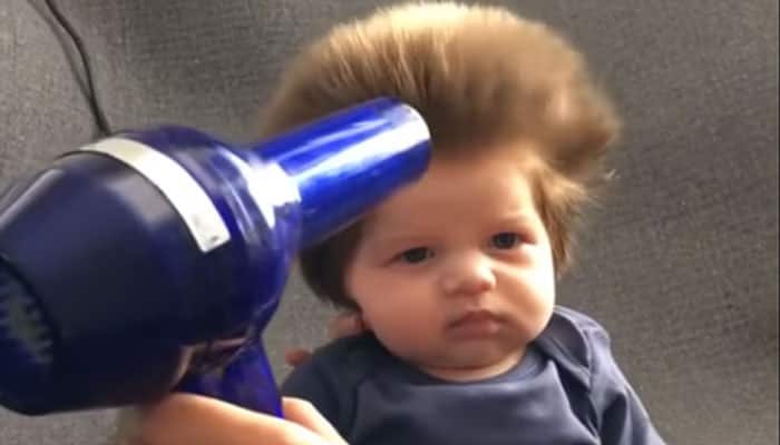 VIRAL VIDEO: Damn cute! Why this 9-week-old&#039;s full head of hair is shocking the internet - WATCH