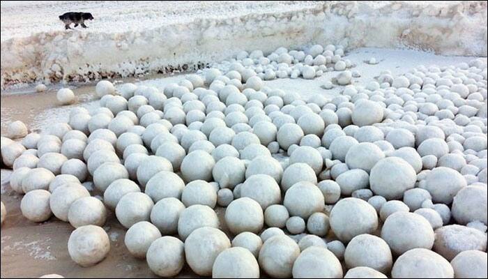 Giant snowballs discovered along Siberia&#039;s coast leaves locals puzzled!