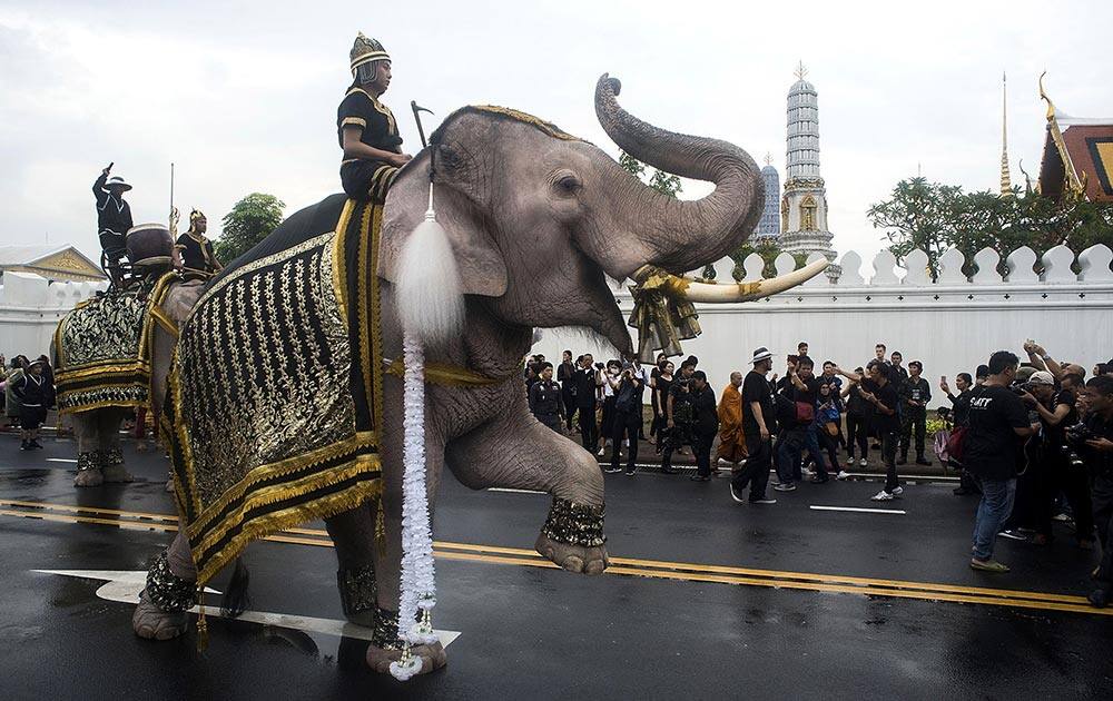 A caretaker and his elephant pass in front of the Grand Palace during a parade to honour King Bhumibol Adulyadej A caretaker and his elephant pass in front of the Grand Palace during a parade to honour King Bhumibol Adulyadej