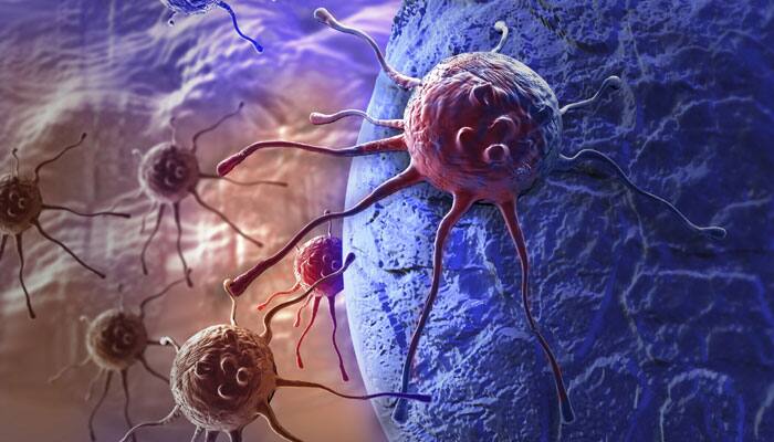 Gold nanoparticles helps in delivering drugs into cancer cells