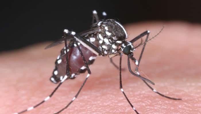 Gauhati High Court judge dies of dengue