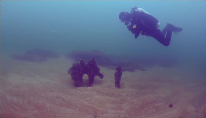 Ancient Stone Age lagoon discovered submerged underwater along Swedish coast! - Watch video