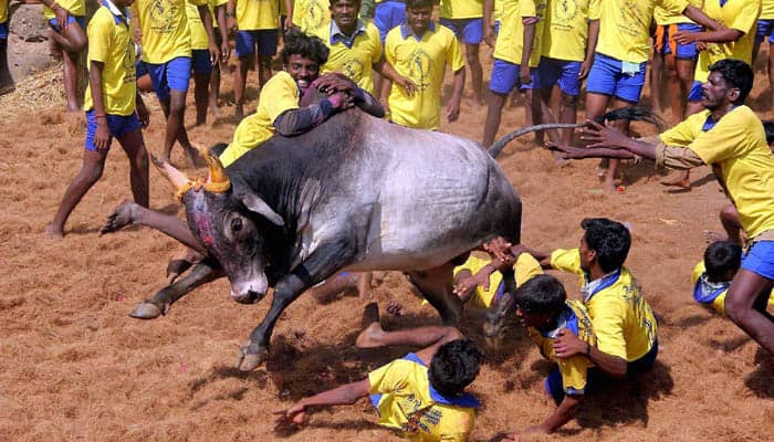 AIADMK government failed to argue properly in Jallikattu case: MK Stalin