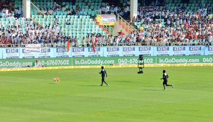 India vs England: Watch how a dog forced players to take early Tea break at Vizag Test