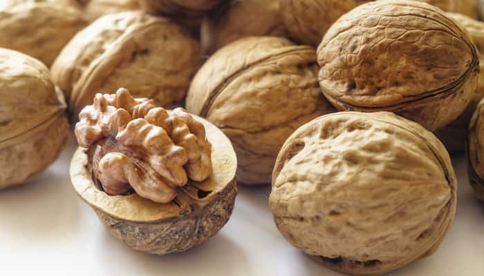 Consuming walnuts makes you stress-free