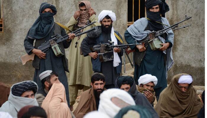 Taliban is a potent armed political power: Russian official