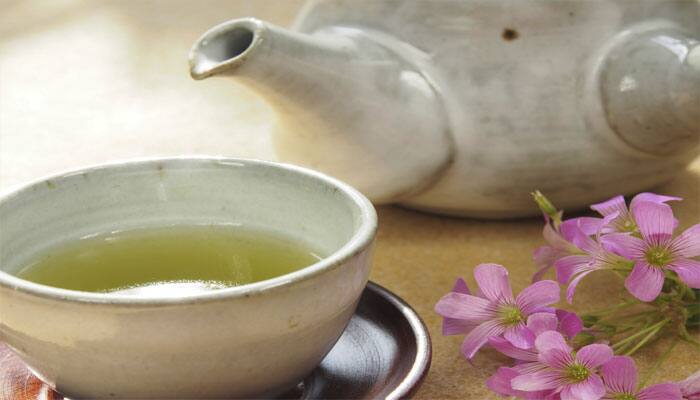 Drink green tea to reduce kidney damage caused by cancer drug &#039;cisplatin&#039;