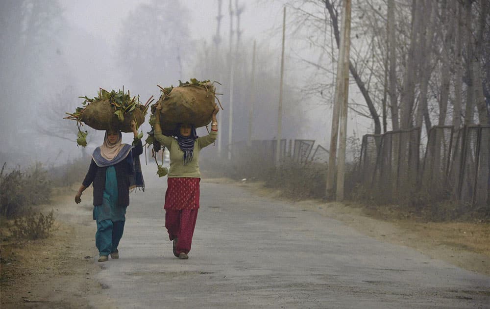 Foggy day in Srinagar